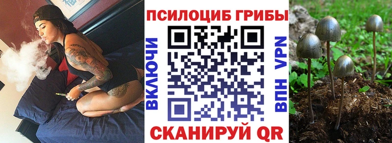 Псилоцибиновые грибы ЛСД  ОМГ ОМГ зеркало  маркетплейс формула  Ишимбай 