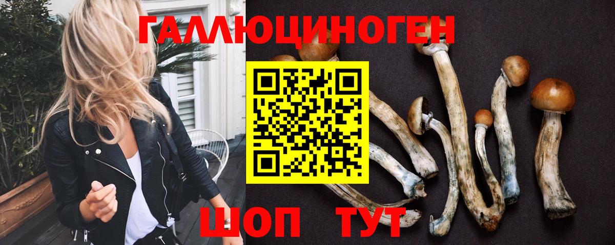 Псилоцибиновые грибы Psilocybine cubensis Ишимбай