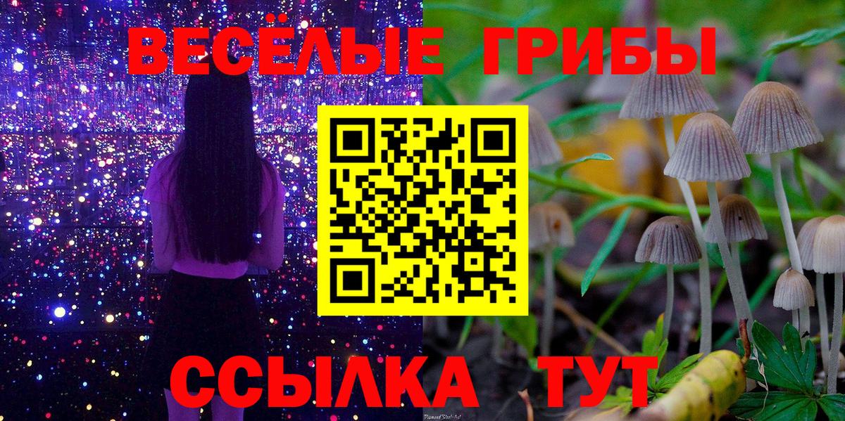 Ишимбай  Галлюциногенные грибы Cubensis  Вход с VPN 