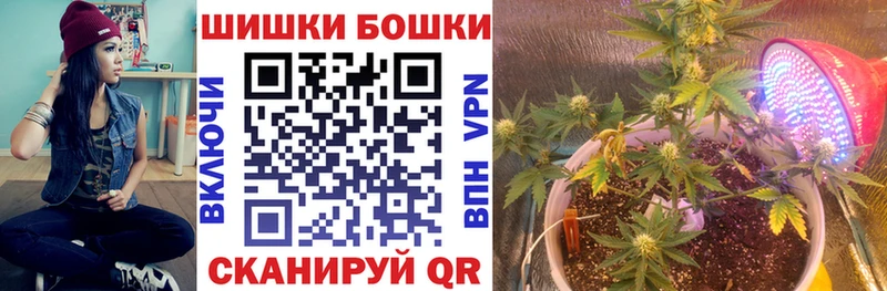 Бошки марихуана Amnesia  Ишимбай 